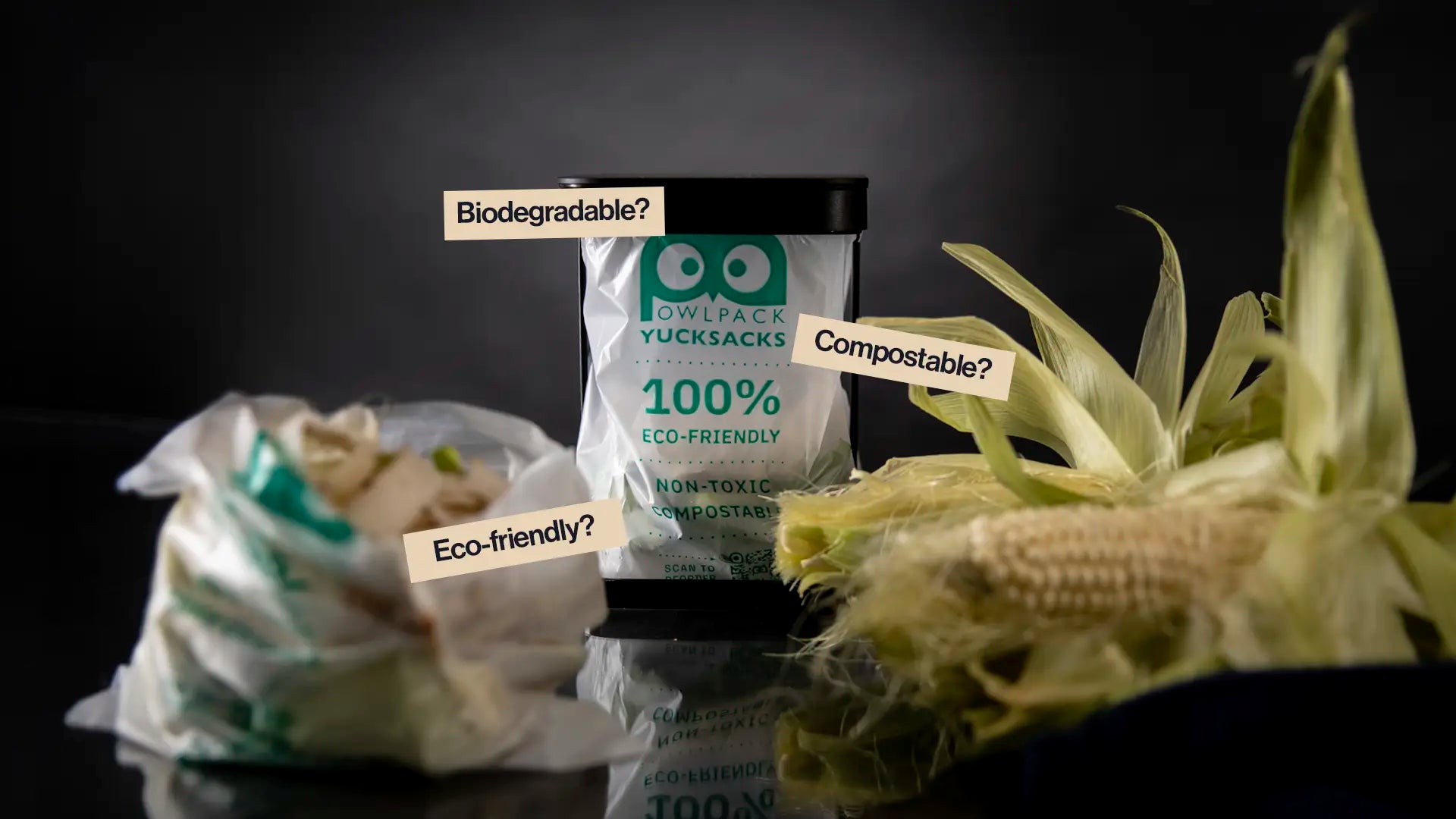 7 Common Mistakes With Compostable Bags (and How to Avoid Them)