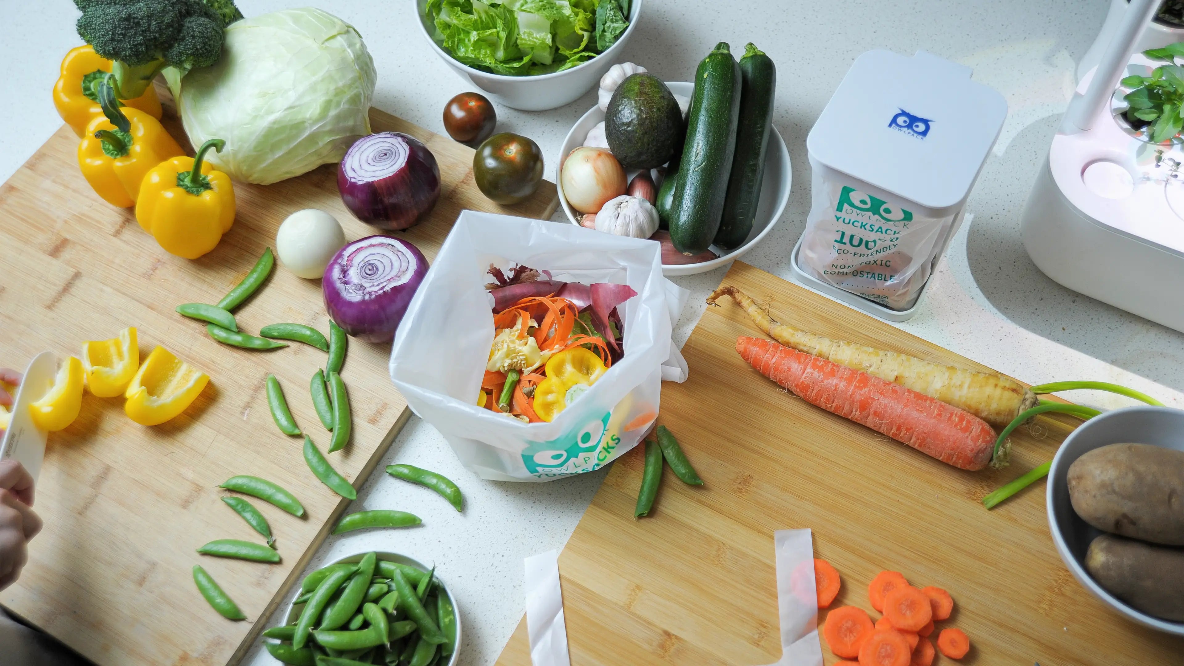 Compostable vs. Biodegradable vs. Recyclable—What’s the Difference?