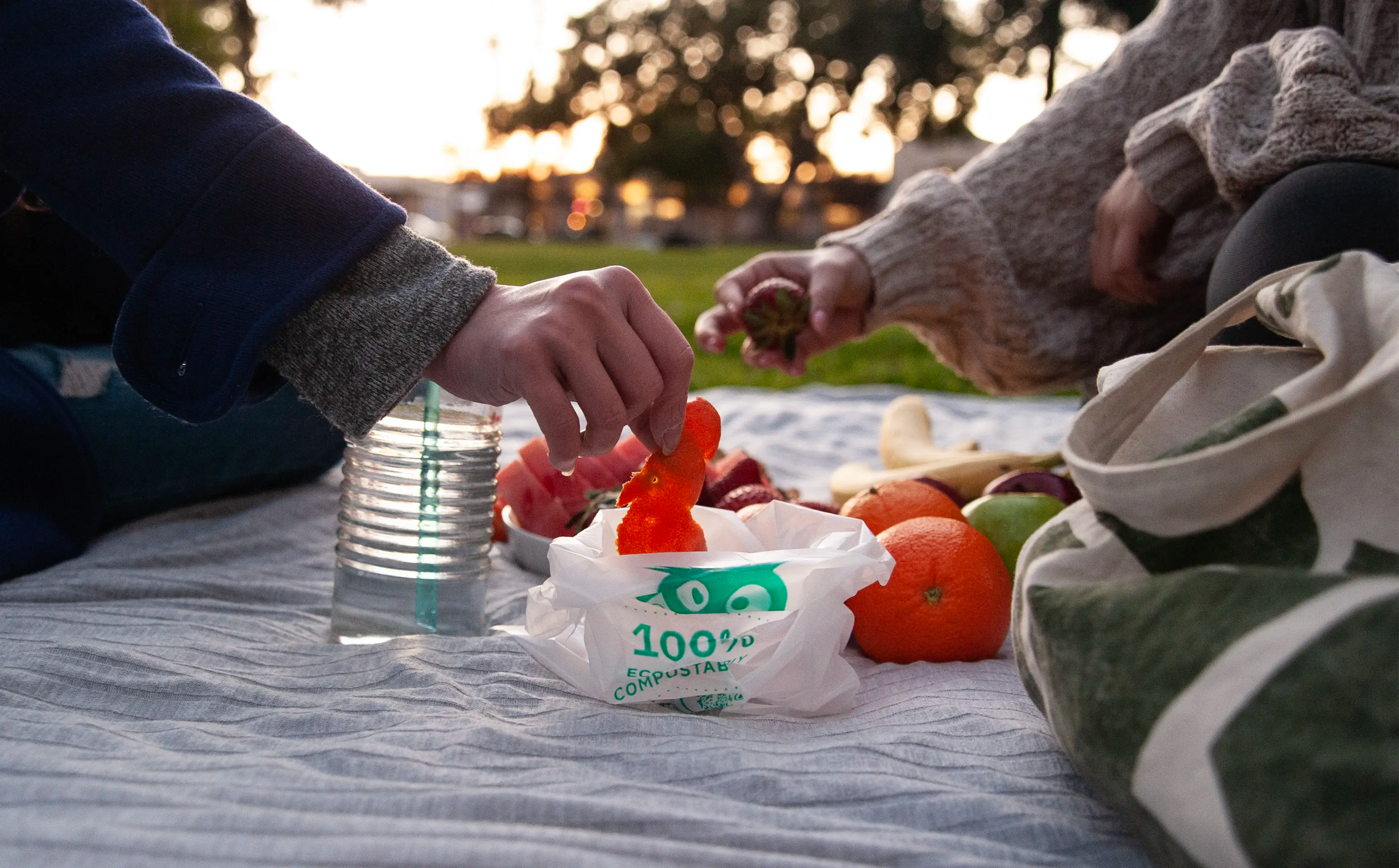 Do Compostable Bags Really Break Down? We Put Yucksack to the Test