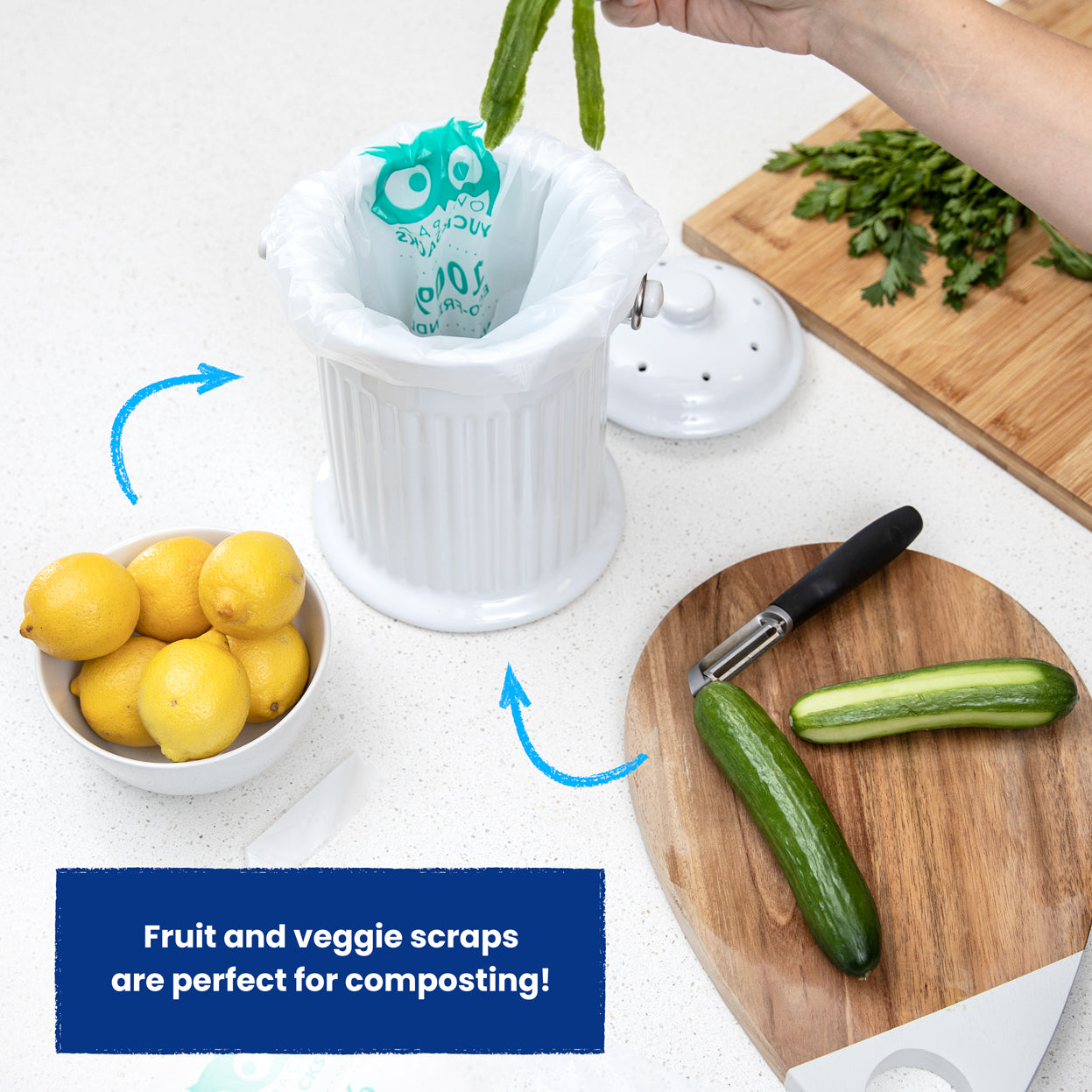 Bolsas compostables de 2 galones
